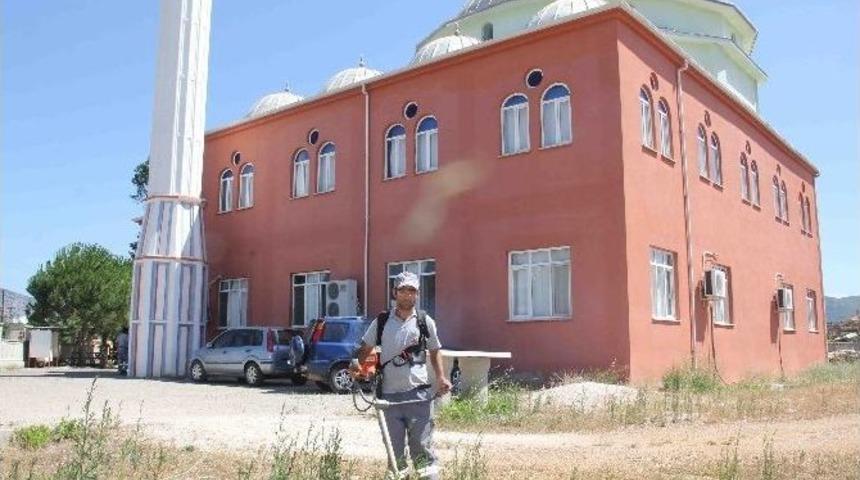 D&ouml;şemealtı Belediyesi, Cami Bah&ccedil;elerini Temizliyor