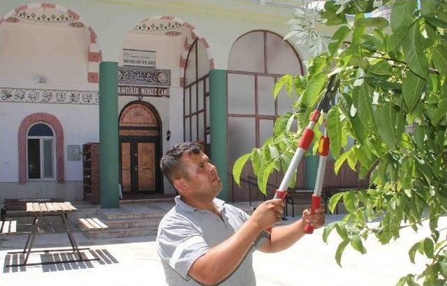 Döşemealtı Belediyesi, Cami Bahçelerini Temizliyor