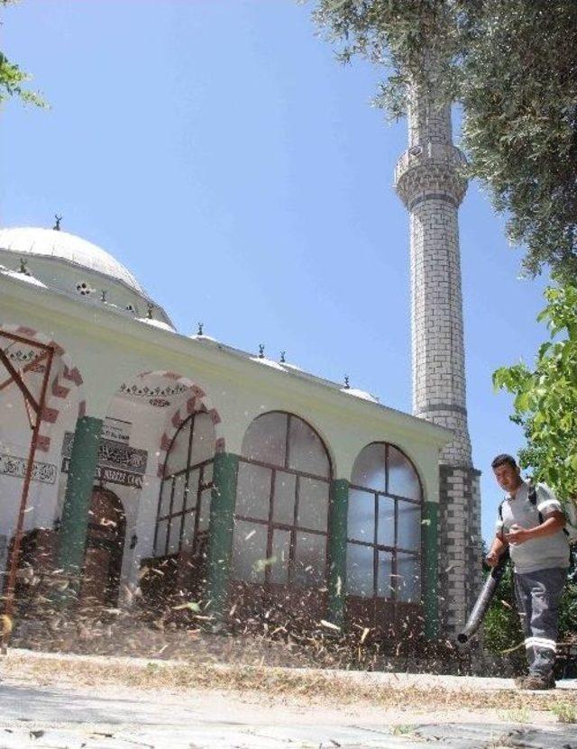 Döşemealtı Belediyesi, Cami Bahçelerini Temizliyor