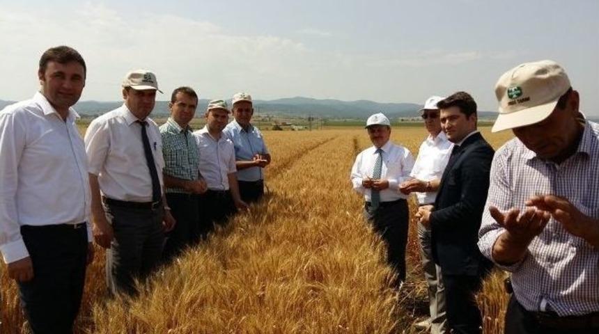 Malkara&rsquo;da Tarla G&uuml;n&uuml; Etkinliği