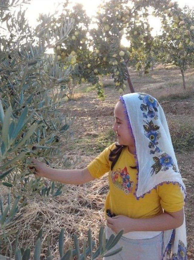 Menderes’i Anlattılar Fotoğraf Makinesini Kaptılar