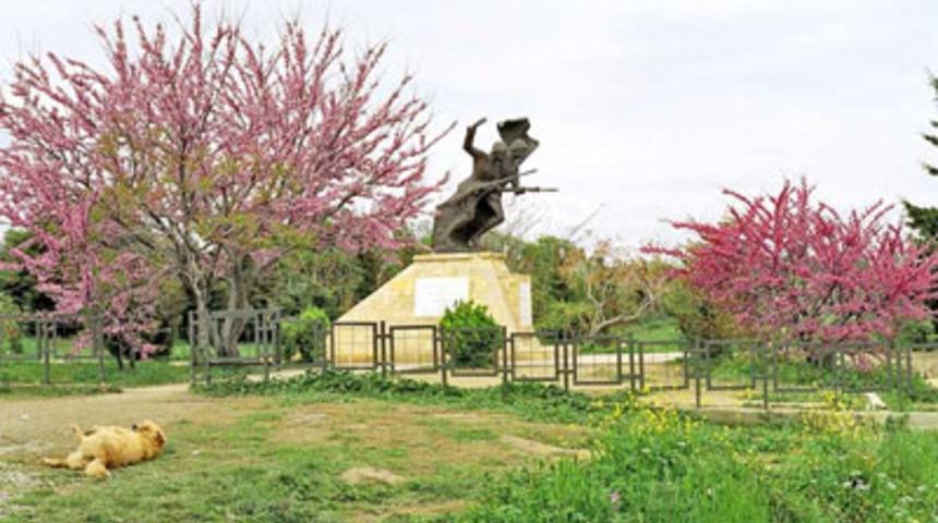 Hangi &uuml;lkede ka&ccedil; tane T&uuml;rk şehitliği var