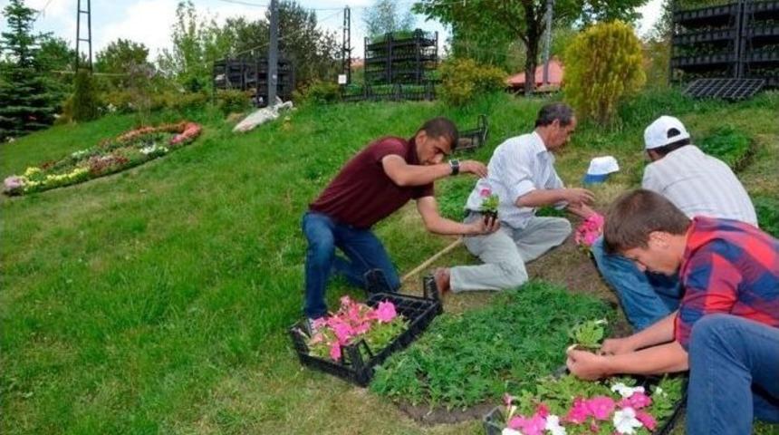 Paland&ouml;ken Belediyesi, Diktiği &Ccedil;i&ccedil;eklerle İl&ccedil;eyi Adeta Bir Renk C&uuml;mb&uuml;ş&uuml;ne D&ouml;nd&uuml;rd&uuml;