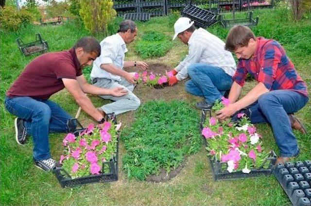 Palandöken Belediyesi, Diktiği Çiçeklerle İlçeyi Adeta Bir Renk Cümbüşüne Döndürdü