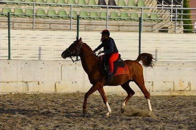 Denizli’de Yaz Spor Okulları Başlıyor