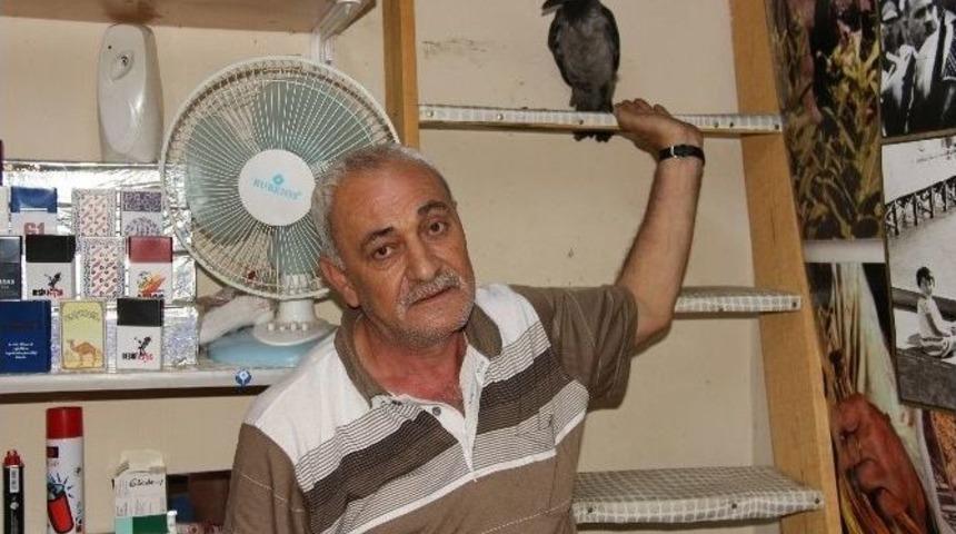 &ldquo;besle Kargayı Oysun G&ouml;z&uuml;n&uuml;&rdquo; S&ouml;z&uuml;n&uuml; &Ccedil;&uuml;r&uuml;ten Karga