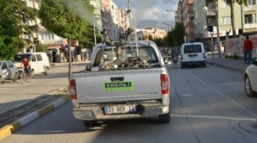 Ereğli G&uuml;l Kokuyor