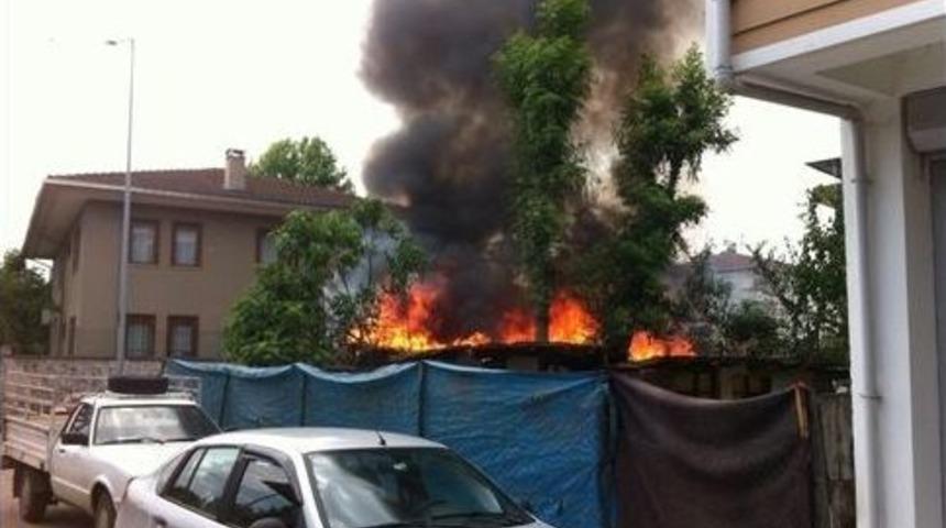 Baraka Alev Alev Yandı