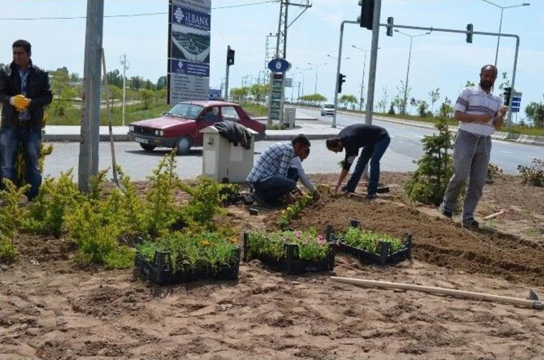 Adilcevaz Belediyesi &Ccedil;i&ccedil;eklerle İl&ccedil;eyi G&uuml;zelleştiriyor