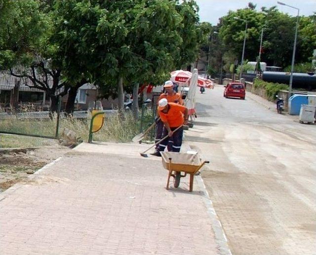 Fener Üstüne Ramazan Bakımı