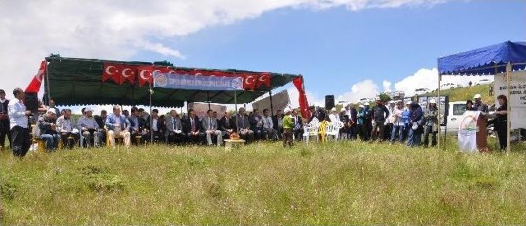 Meralar Şenleniyor&hellip;