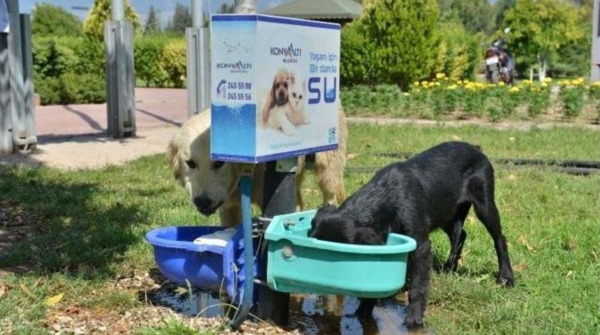 Başkan B&ouml;cek&rsquo;den &Ccedil;ağrı