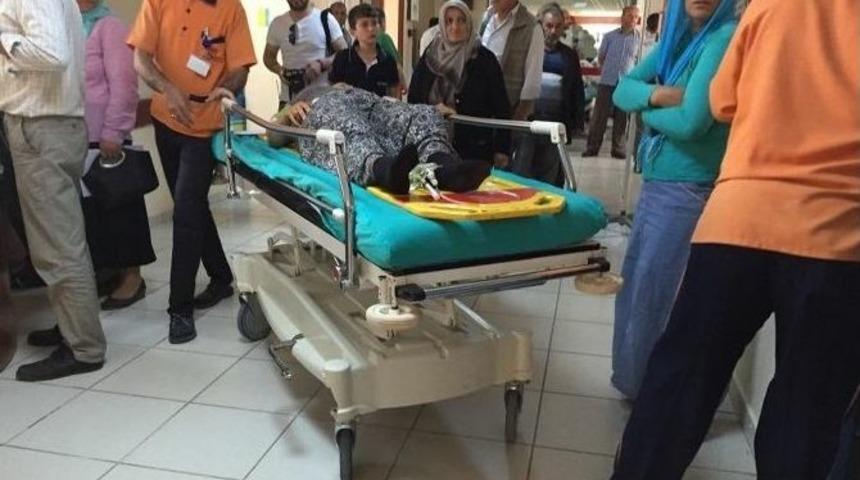 Fatsa&rsquo;da Ağa&ccedil;tan D&uuml;şme Vakaları: 3 Yaralı