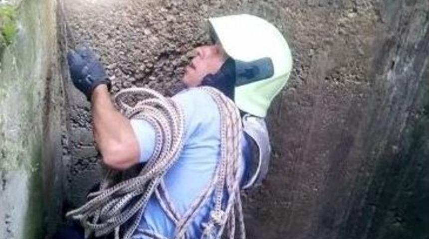 Su Kuyusuna D&uuml;şen Koyunu İtfaiye Kurtardı