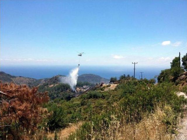 Dat&ccedil;a&rsquo;da Sezonun İlk Yangını Ucuz Atlattı 2