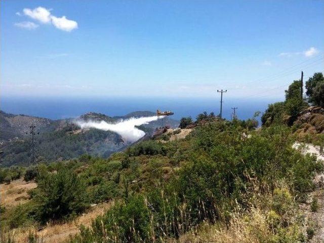 Dat&ccedil;a&rsquo;da Sezonun İlk Yangını Ucuz Atlattı 3