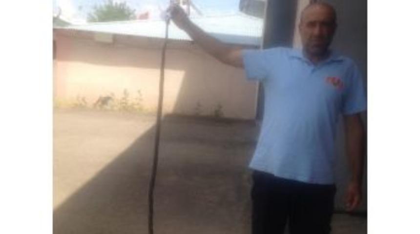 İtfaiyeden Yılan Operasyonu
