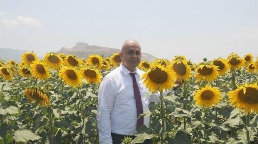 Adana&rsquo;da Ay&ccedil;i&ccedil;eği Ekim Alanları Artıyor