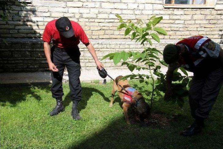 İslamköy Demirel’e Vedaya Hazırlanıyor G4