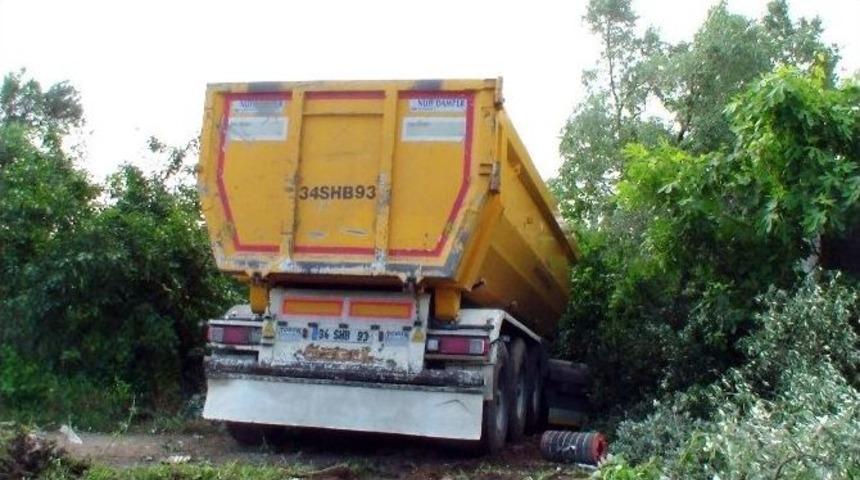 Virajı Alamayan Tır Zeytin Ağa&ccedil;larını S&ouml;kerek Durdu