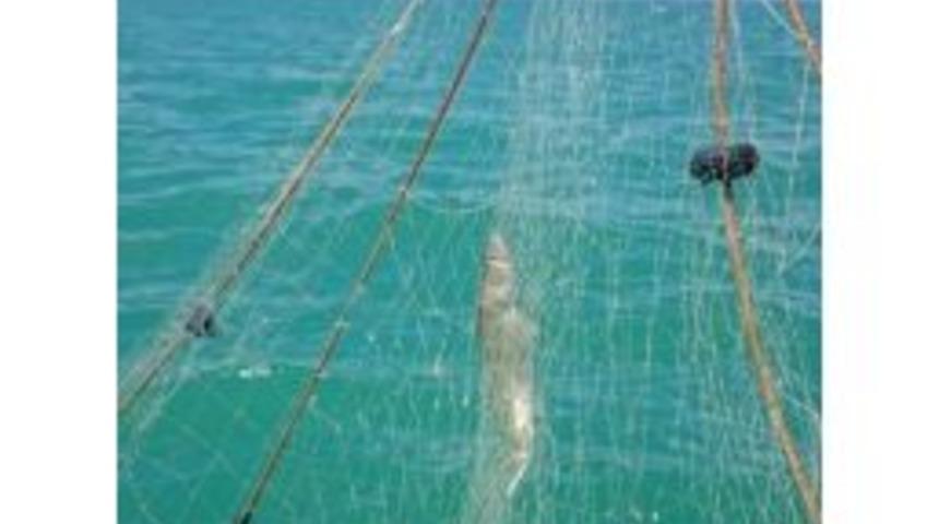 Beyşehir G&ouml;l&uuml;&rsquo;nde Su &Uuml;r&uuml;nleri Avcılığına Sıkı Takip