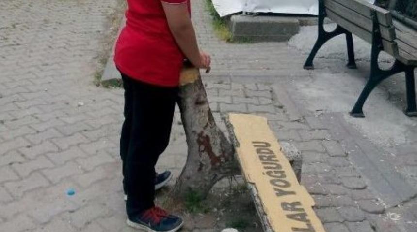 Spora Olan Aşkı Onu Sahalara Geri D&ouml;nd&uuml;rd&uuml;