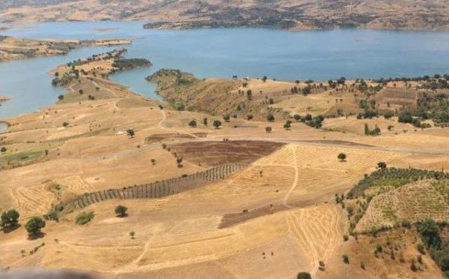 Buğdayda Rekolte Yüksek, Kalite Düşük