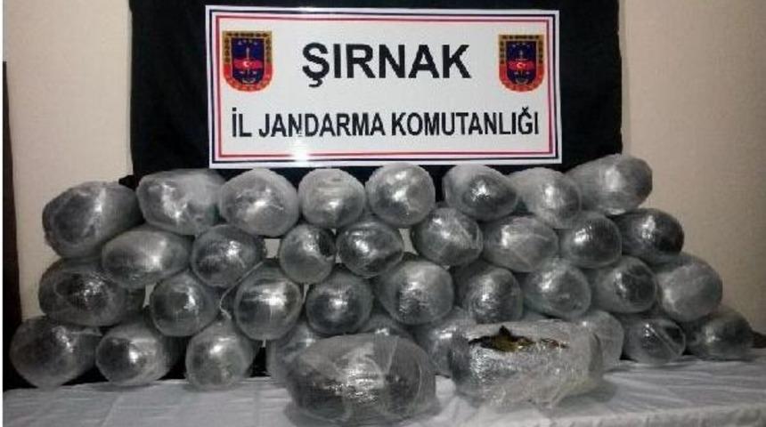 Şırnak'ta 190 Kilogram Esrar Ele Ge&ccedil;irildi