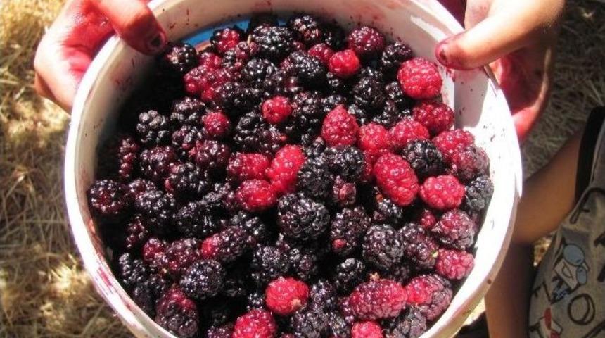 Urmu Dut Şerbeti Ramazan Sofralarının Vazge&ccedil;ilmezi Oldu