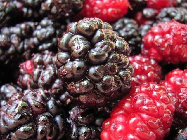 Urmu Dut Şerbeti Ramazan Sofralarının Vazge&ccedil;ilmezi Oldu 1