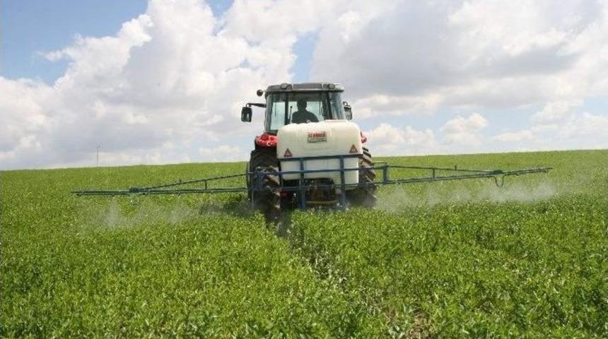 &Ccedil;ift&ccedil;iler Aspir Bitkisine Zarar Veren Tırtıl İle Zirai M&uuml;cadele Yapıyor