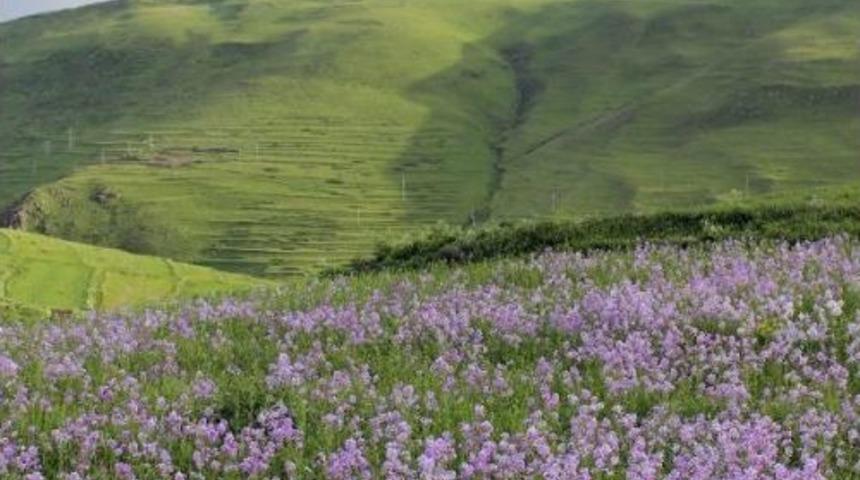 Atat&uuml;rk S&uuml;lieti 5'&uuml;nc&uuml; G&uuml;n Ortaya &Ccedil;ıktı