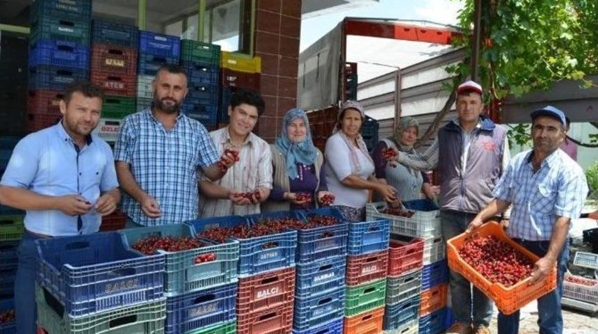 Selendili Kiraz &Uuml;reticileri Fiyatlardan Memnun Değil