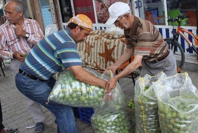 Aydın’ın Milli Meyvesi İncirin Olması Bu Sineklerin Çalışmasına Bağlı