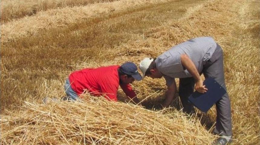 Araban Ovası&rsquo;nda Bi&ccedil;erd&ouml;ver Kontrollerden Ge&ccedil;iriliyor