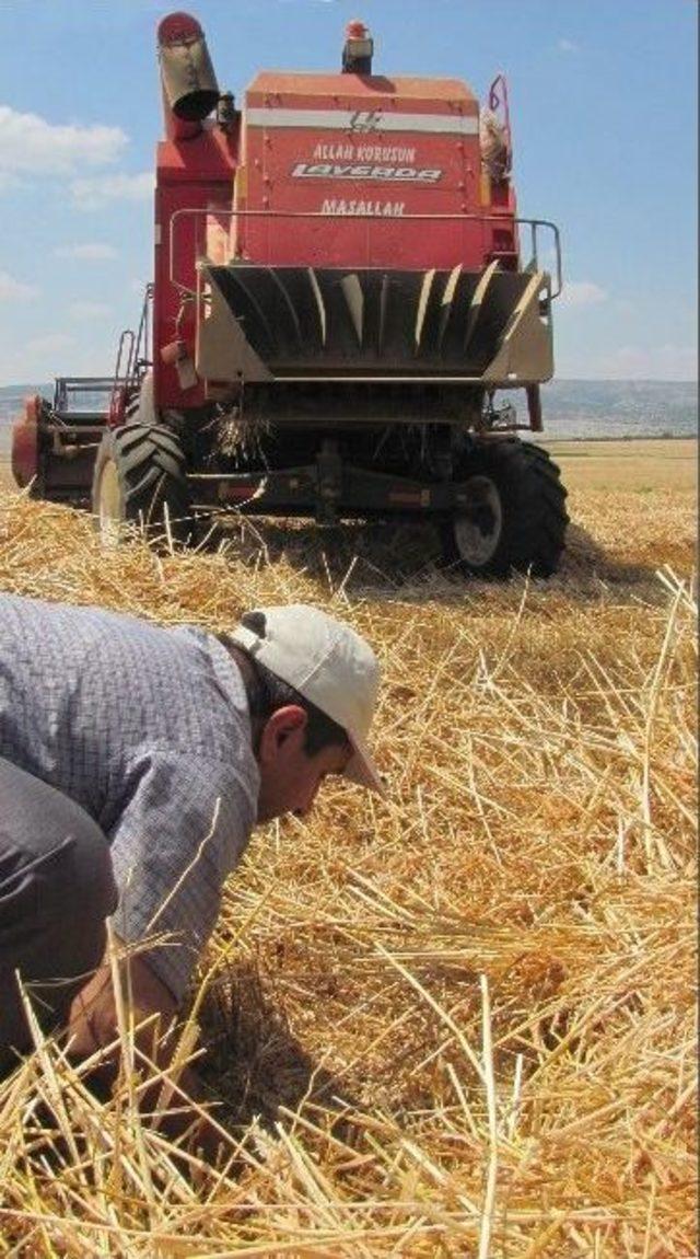 Araban Ovası&rsquo;nda Bi&ccedil;erd&ouml;ver Kontrollerden Ge&ccedil;iriliyor 1