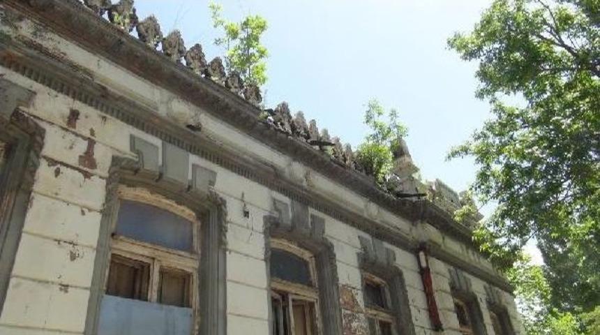 Tarihi Binanın Duvarlarından Ağa&ccedil; &Ccedil;ıkıyor