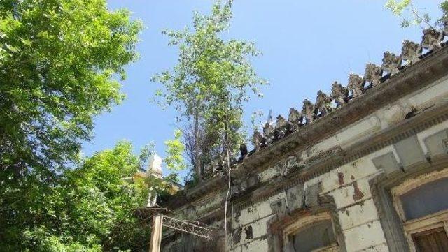 Tarihi Binanın Duvarlarından Ağa&ccedil; &Ccedil;ıkıyor 2