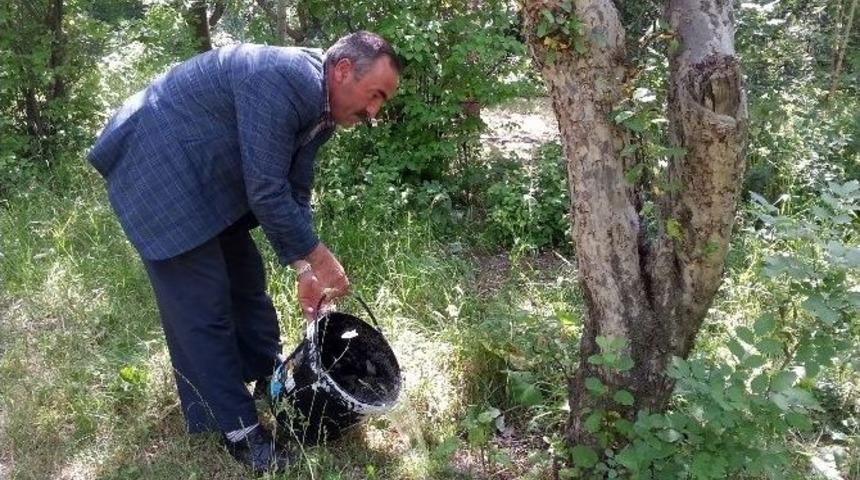 Bah&ccedil;e Sulamasında&rdquo;kovalı&rdquo; &Ccedil;&ouml;z&uuml;m