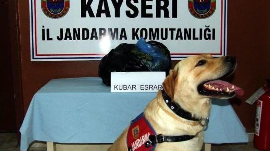 &Ccedil;ukurova Ekspresi'nde 2 Kilo Esrar Ele Ge&ccedil;irildi