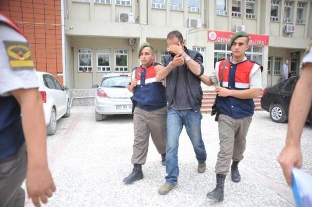 Bursa da &Ccedil;alınan 35 K&uuml;&ccedil;&uuml;kbaş Hayvan İstanbul da Ele Ge&ccedil;irildi 2