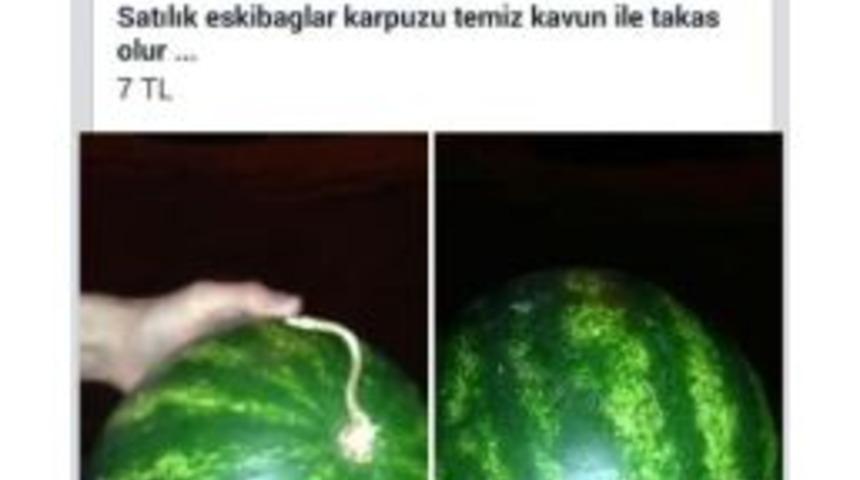 Sanal Alem &Ccedil;ılgınlığı