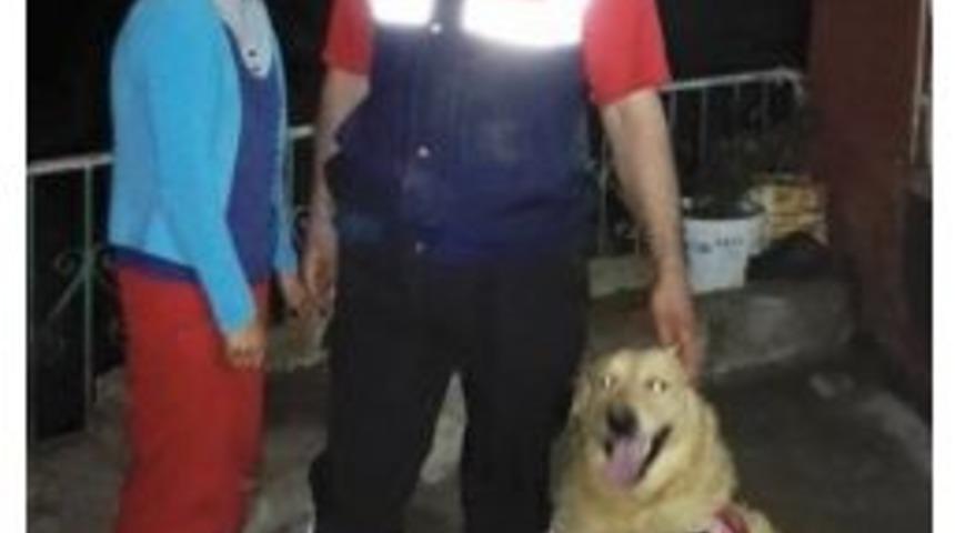 Kaybolan K&uuml;&ccedil;&uuml;k Kızı, İz Arama K&ouml;peği Aza Buldu