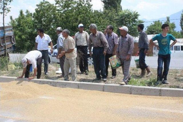 Denizli’de Buğday Yüklü Traktör Devrildi: 4 Yaralı