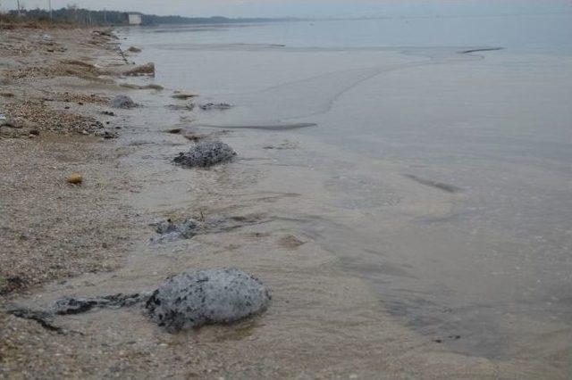 İznik G&ouml;l&uuml;&rsquo;nde Tehlike Sinyalleri 2