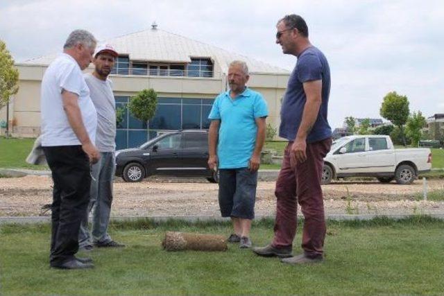 Timsah Arena’Nın Çimleri Kesilmeye Başladı