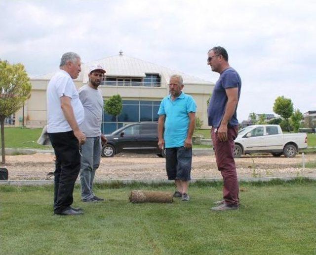 Timsah Arena’Nın Çimleri Kesilmeye Başladı