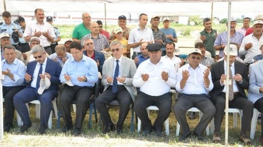 Aksaray&rsquo;da Hasat Bayramı