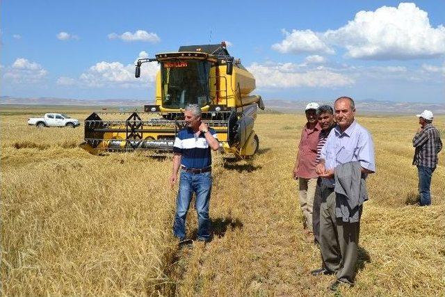 Kulu’da Arpa Hasadına Başlandı