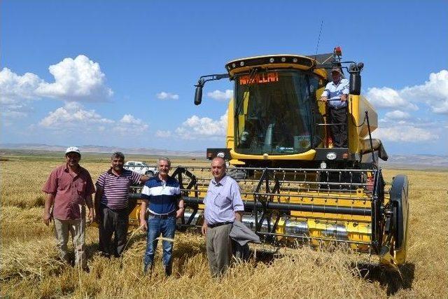 Kulu’da Arpa Hasadına Başlandı